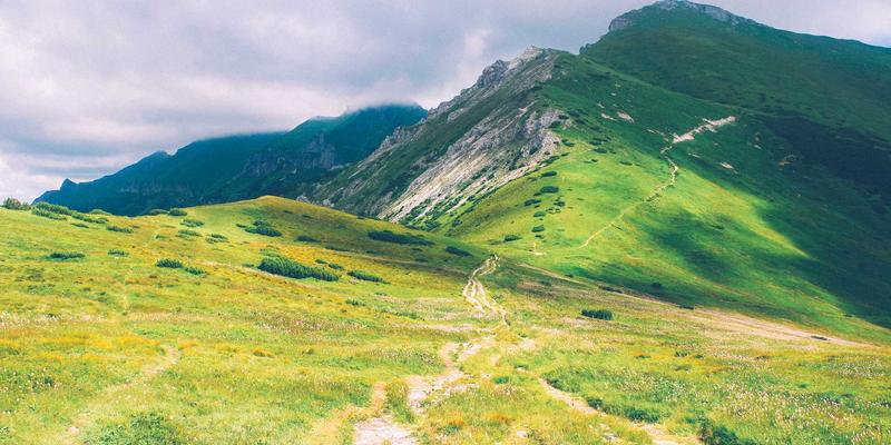 IT资源优化利器：时间敏感网络（TSN）技术如何重塑工业自动化