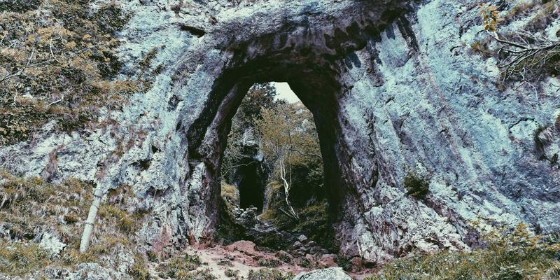 Network Technology 2022：融合编程、资源与安全的IT新纪元