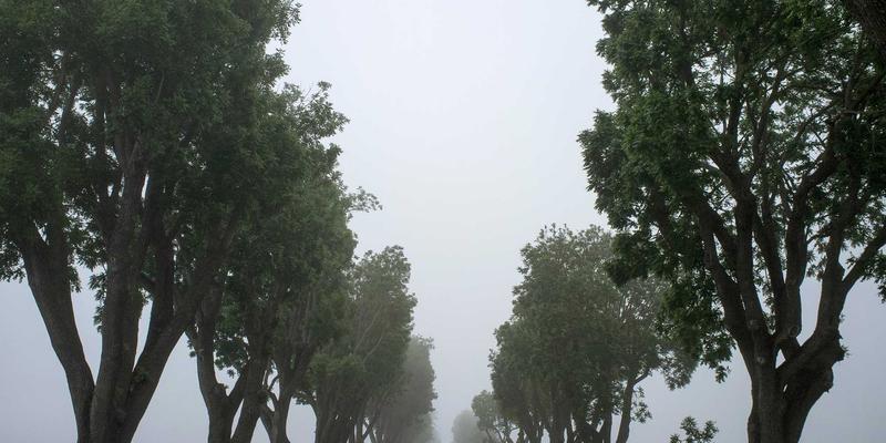 Network Technology 87：从编程教程到5IKL协议的新一代网络技术解析