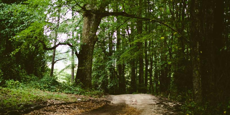 基于意图的网络（IBN）：从被动配置到主动业务保障的演进之路