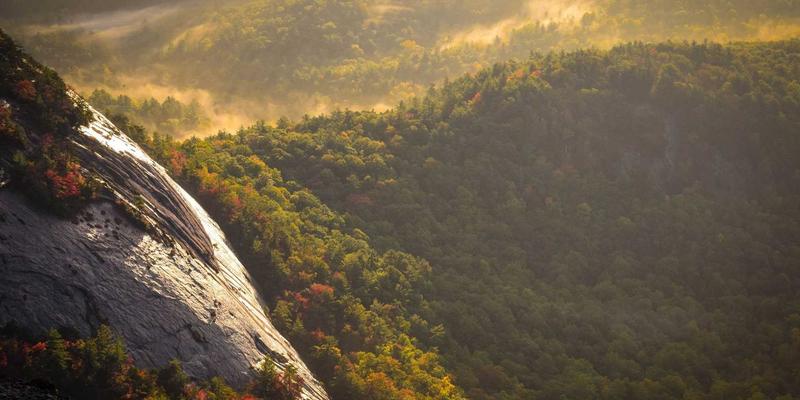 网络功能虚拟化（NFV）与容器化：构筑5IKL时代电信云的安全与敏捷核心