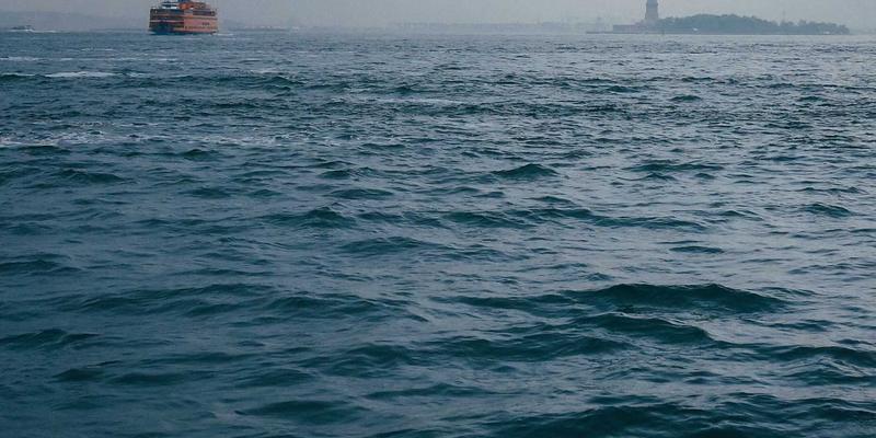 网络技术新三角：网络安全、软件共享与编程教程的融合之道