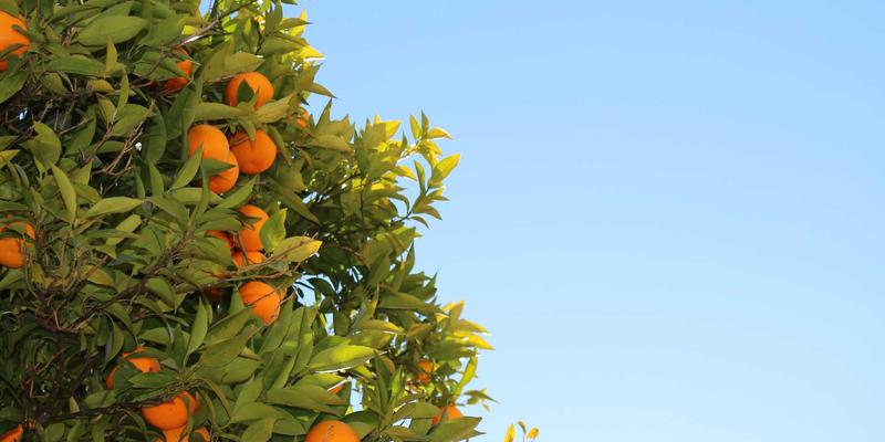 软件共享与IT资源整合：零信任架构如何重塑企业网络安全新范式